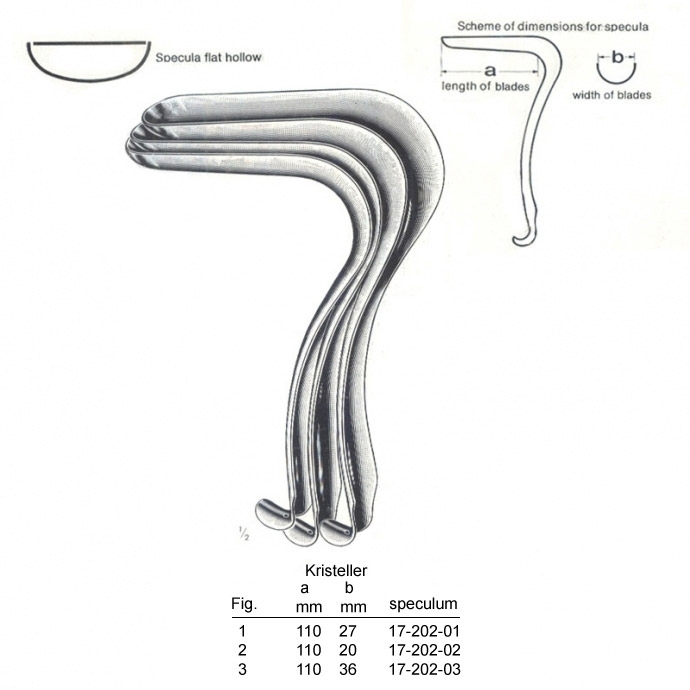 congue non eget libero