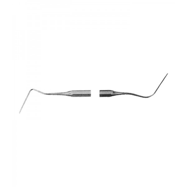 congue non eget libero