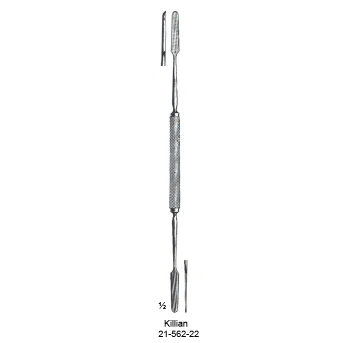 congue non eget libero