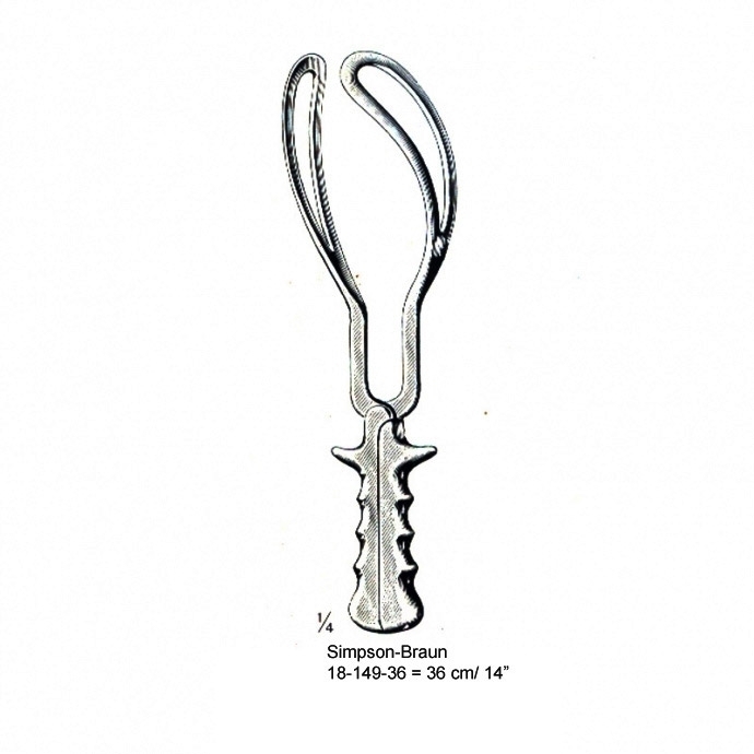 congue non eget libero