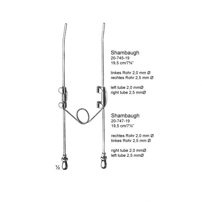 congue non eget libero