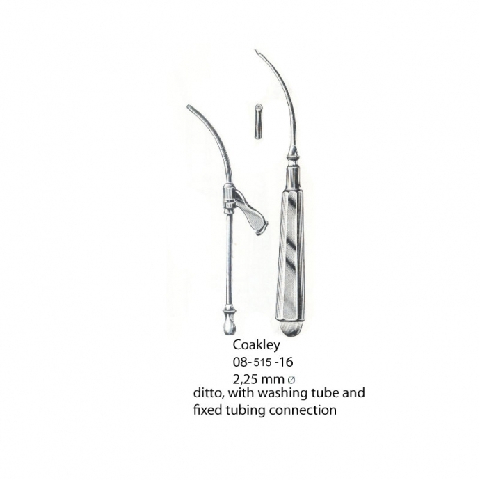 congue non eget libero