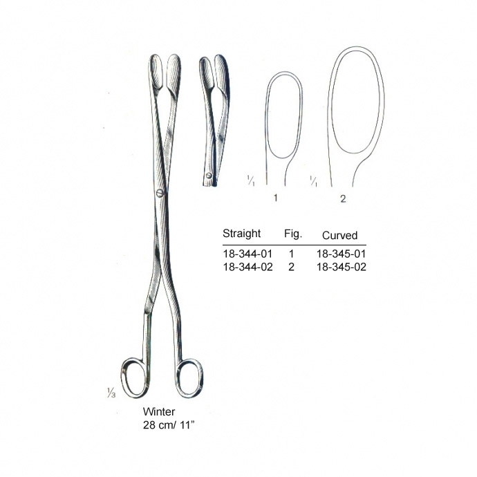 congue non eget libero