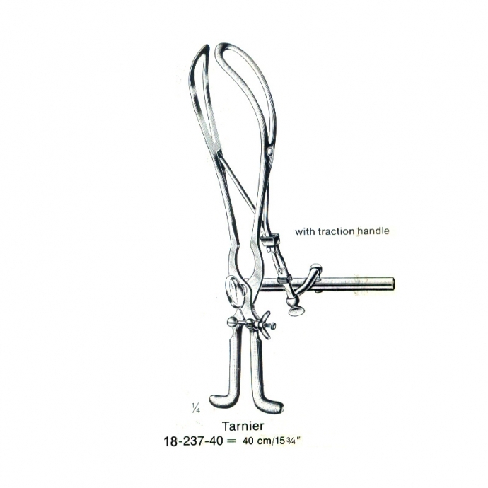 congue non eget libero