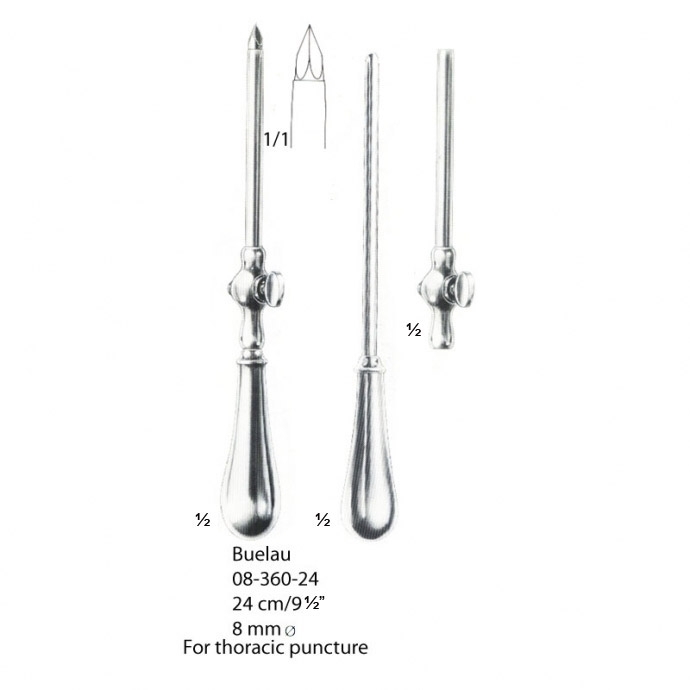 congue non eget libero