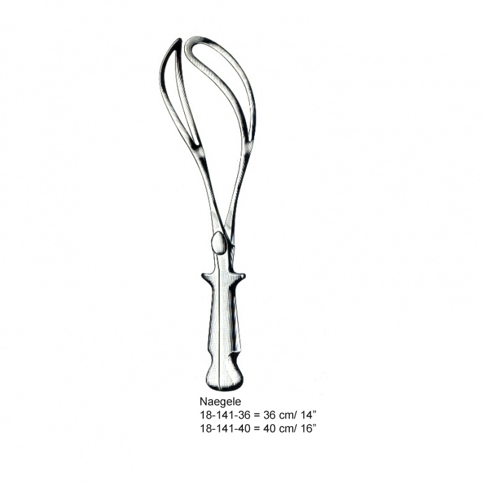 congue non eget libero