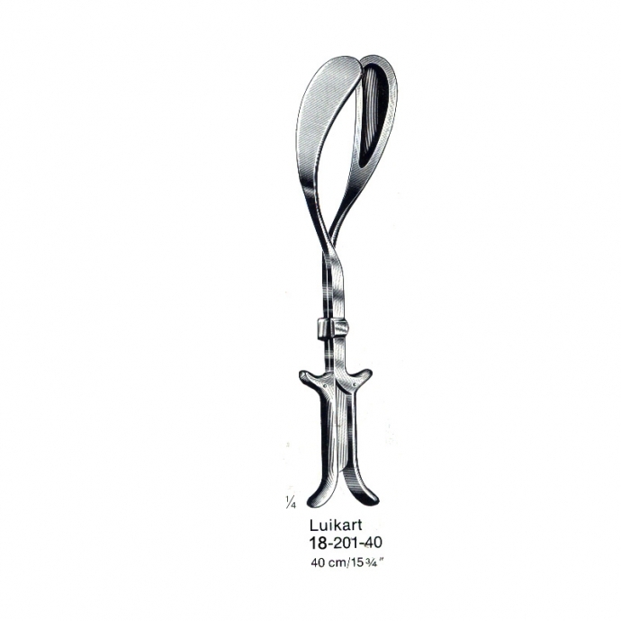 congue non eget libero