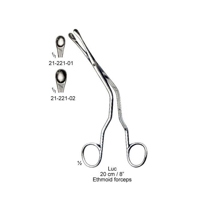 congue non eget libero