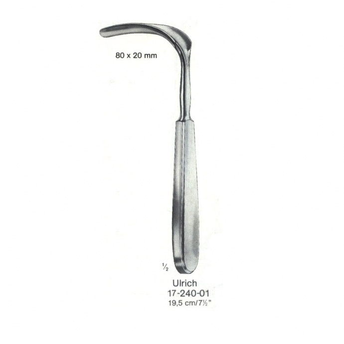 congue non eget libero