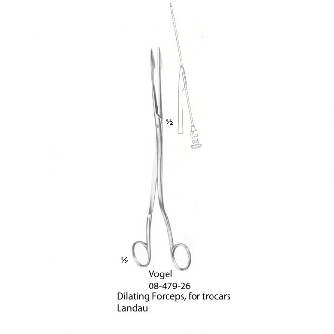 congue non eget libero