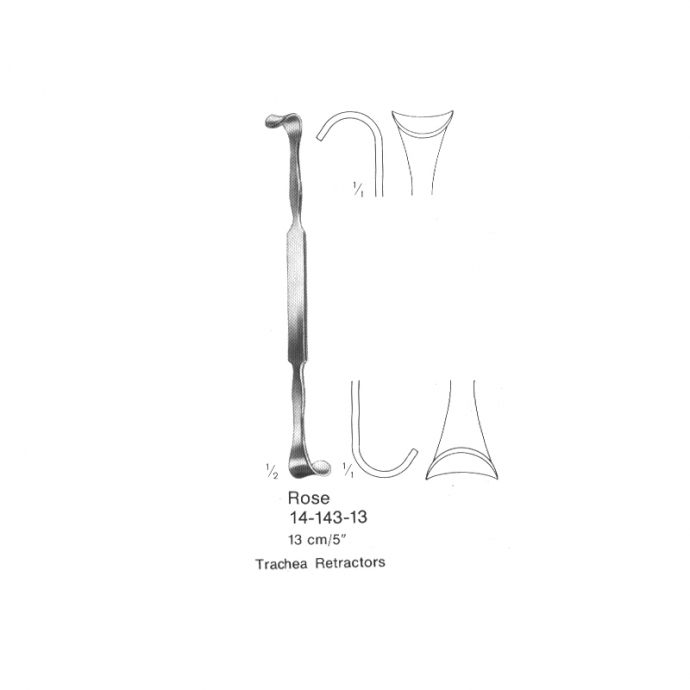 congue non eget libero