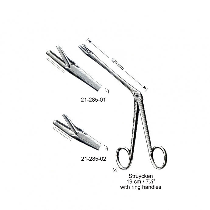 congue non eget libero