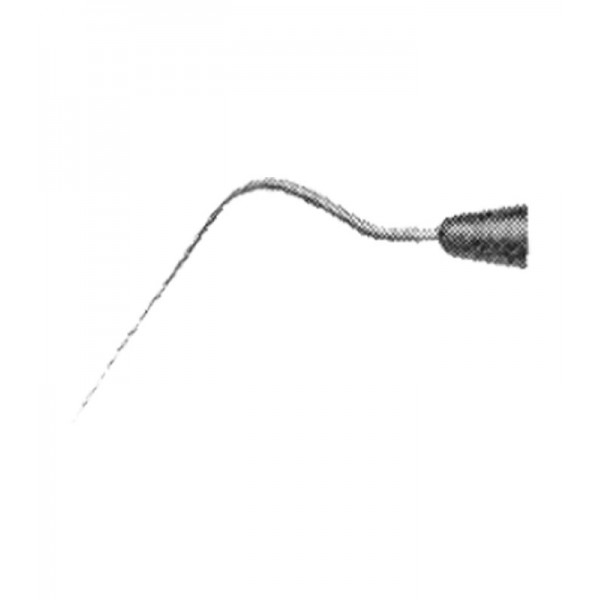 congue non eget libero