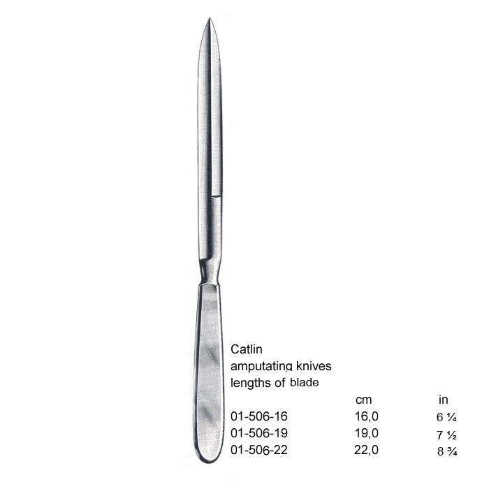 congue non eget libero