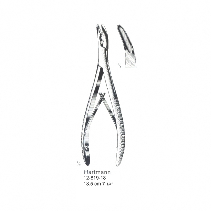 congue non eget libero