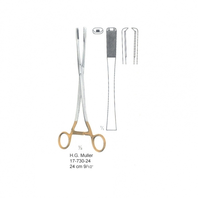 congue non eget libero