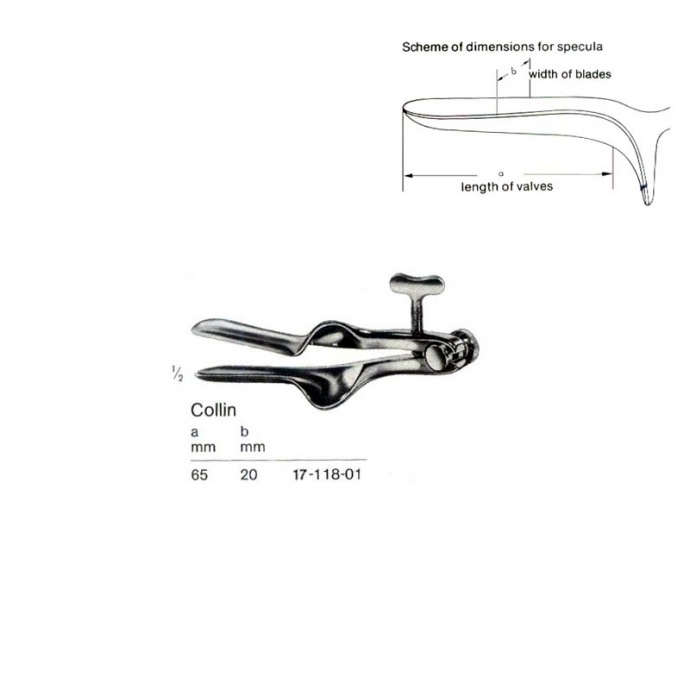 congue non eget libero