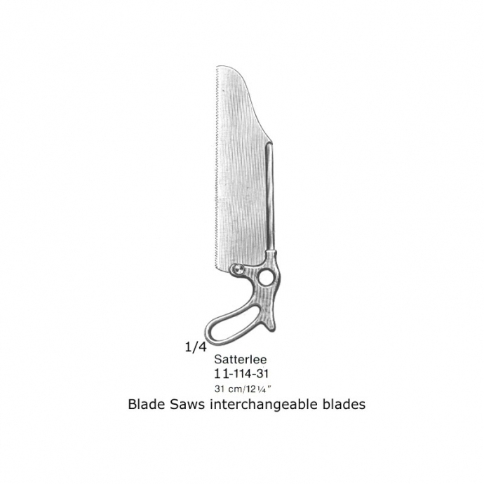 congue non eget libero