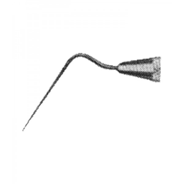 congue non eget libero