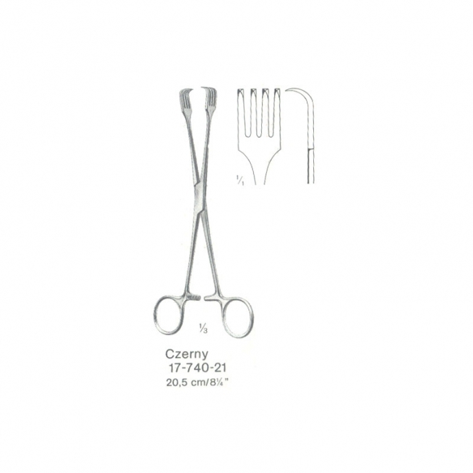 congue non eget libero