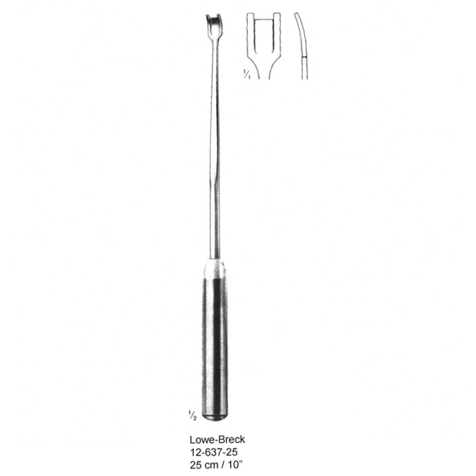 congue non eget libero