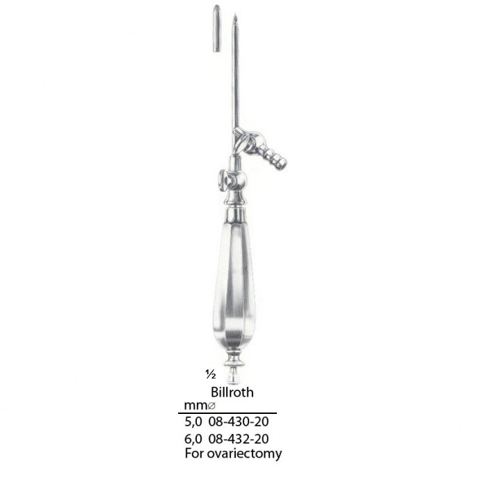 congue non eget libero