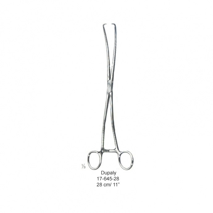 congue non eget libero