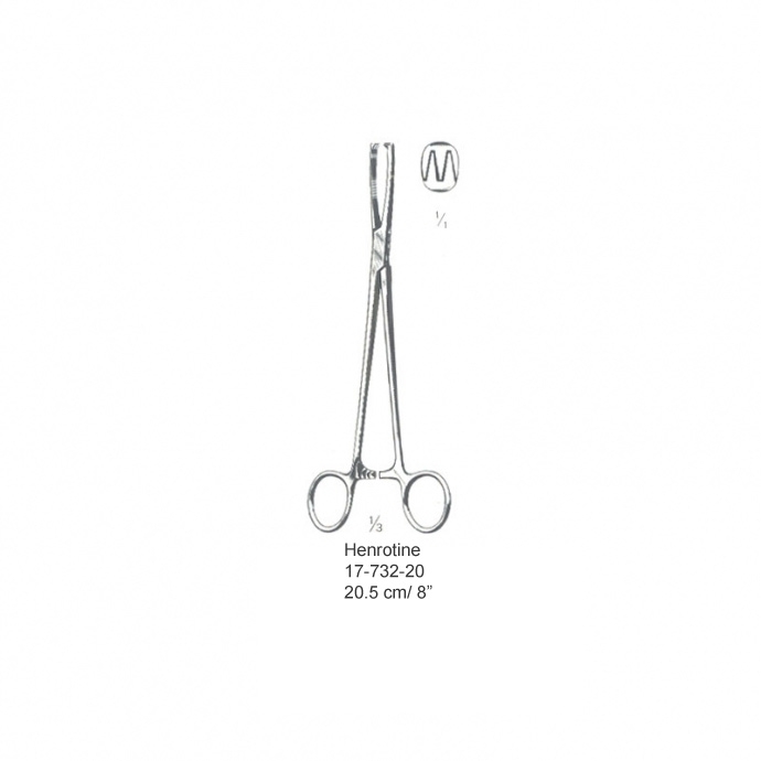 congue non eget libero