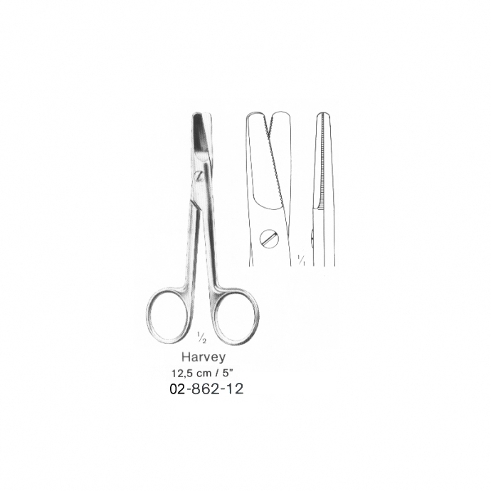 congue non eget libero