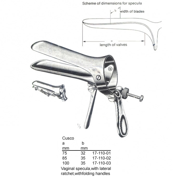 congue non eget libero