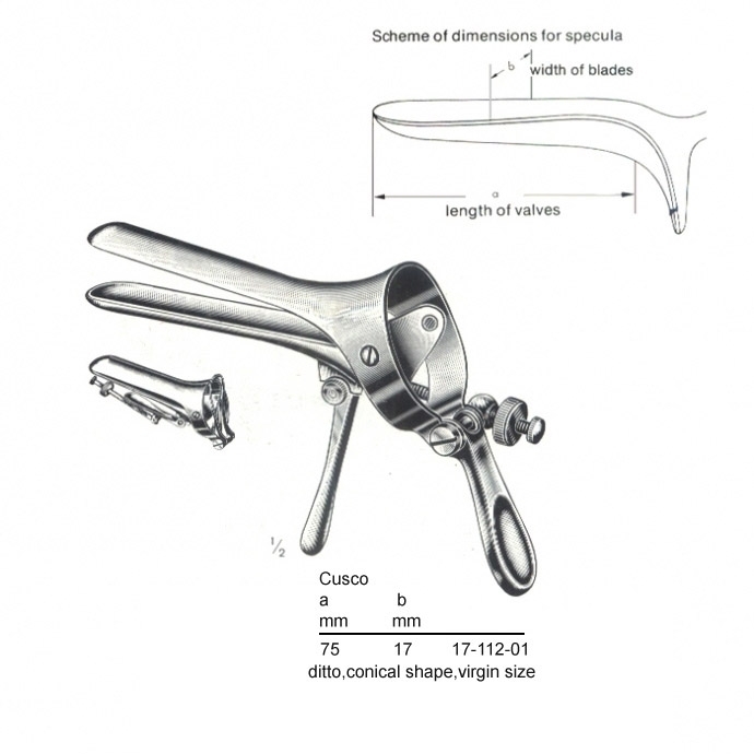 congue non eget libero