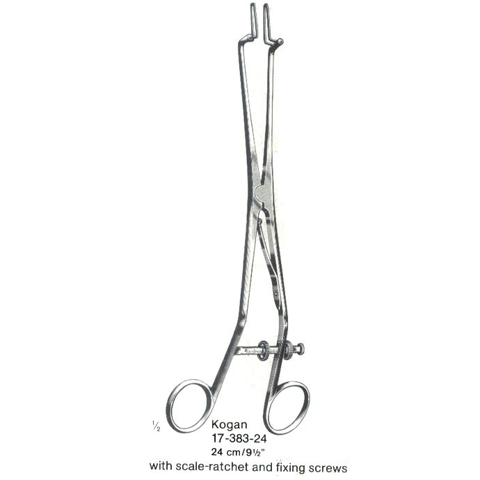 congue non eget libero