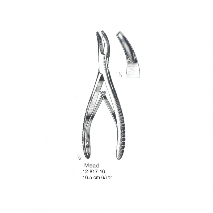 congue non eget libero