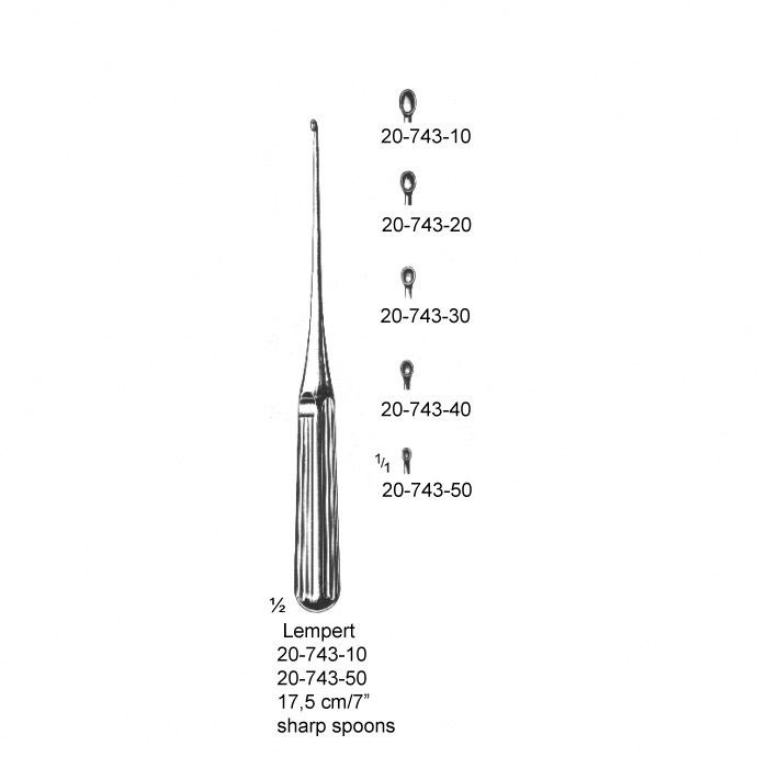 congue non eget libero