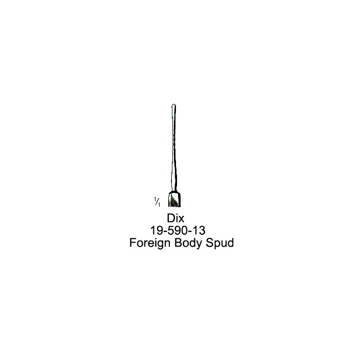 congue non eget libero