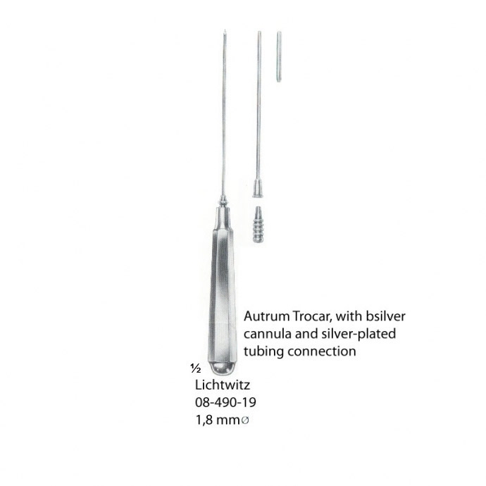 congue non eget libero