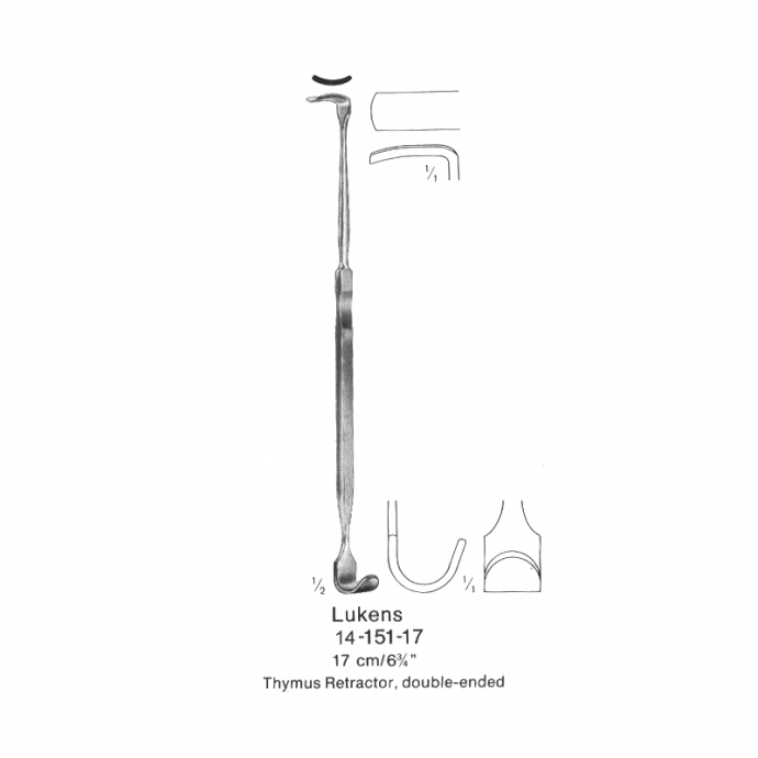 congue non eget libero