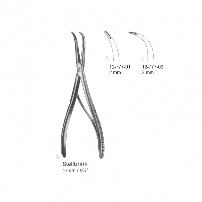 congue non eget libero