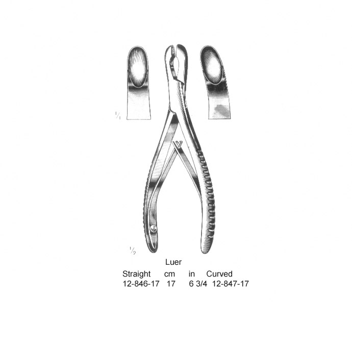 congue non eget libero