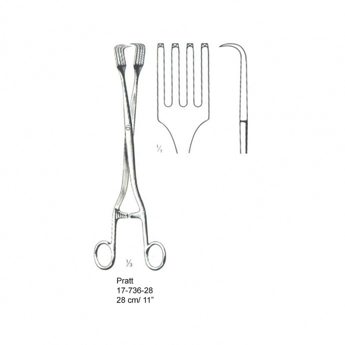 congue non eget libero