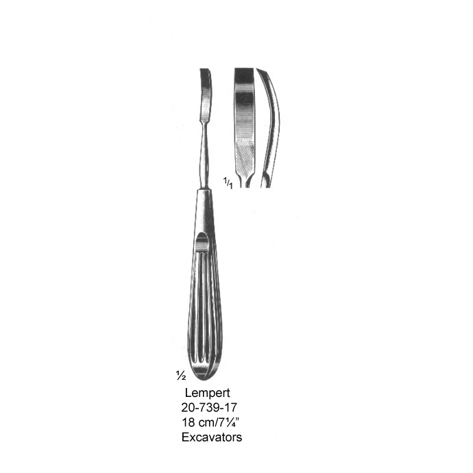 congue non eget libero