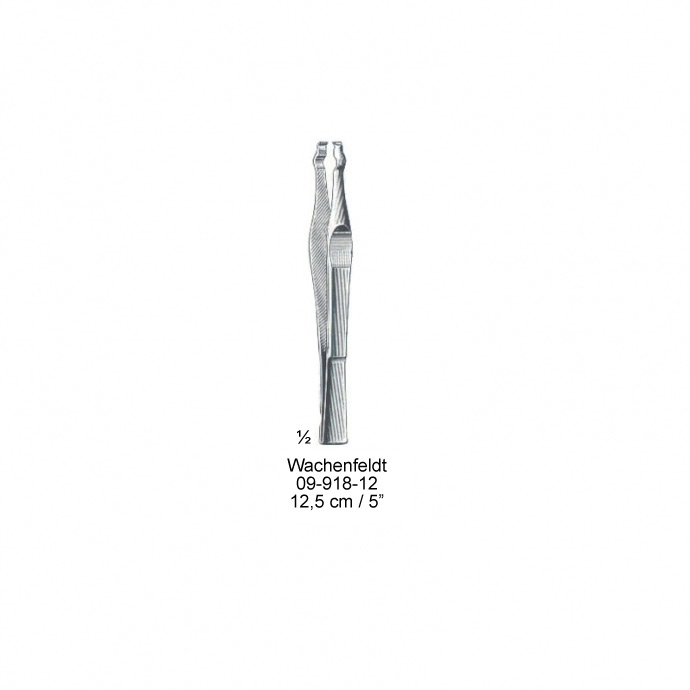 congue non eget libero