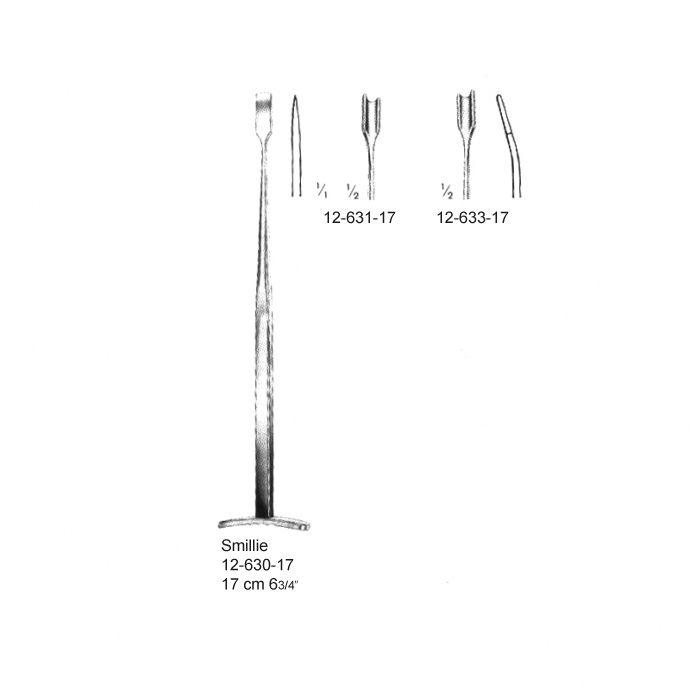 congue non eget libero