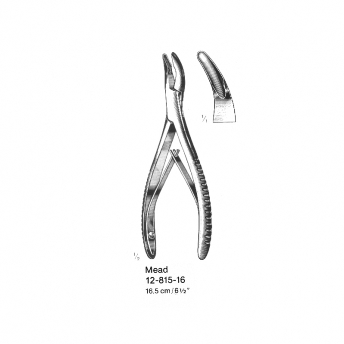 congue non eget libero