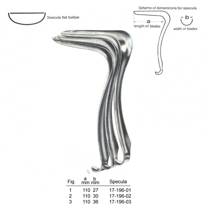 congue non eget libero