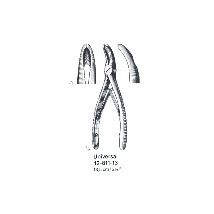 congue non eget libero