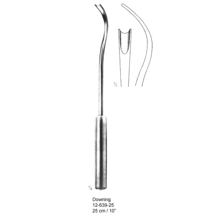 congue non eget libero