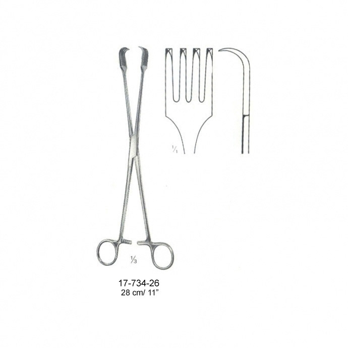 congue non eget libero