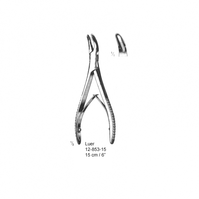 congue non eget libero