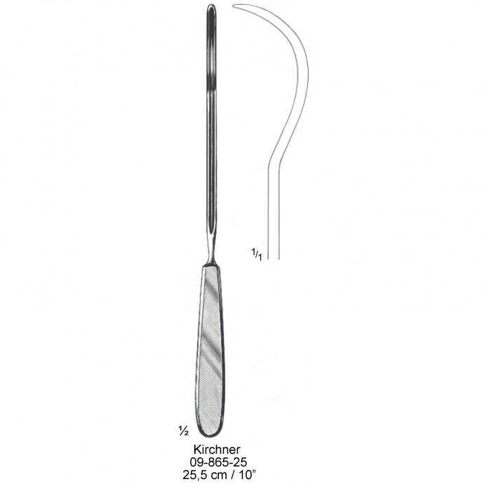 congue non eget libero